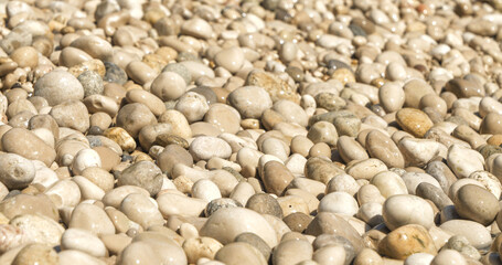 CLOSE UP: Wet white pebbles on the sunny seashore of an island beach in Croatia. Amazing texture of small round stones scattered along the coast of Dalmatia glisten after being wetted by the sea.