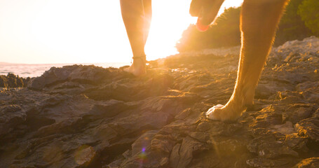 LENS FLARE, CLOSE UP: Rays of sun shine between legs of woman and dog on a relaxing beach walk in...