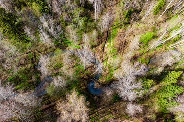 Obraz premium Flight over a meandering stream flowing in the forest