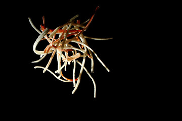 Close up of shredded crabstick filament for snack