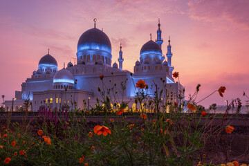 Sheikh Zayed Grand mosque with flowers at morning