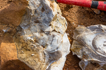 Fractured flint boulder with a brush of fine-crystalline quartz inside