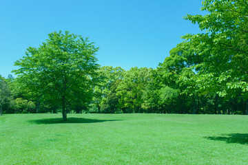 Green Park