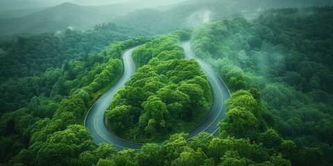 Aerial top view beautiful curve road on green forest in the rain season. 