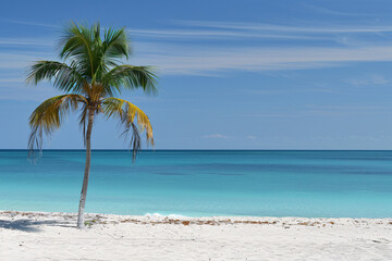 Fototapeta premium Tranquil beach scene with turquoise waters white sand
