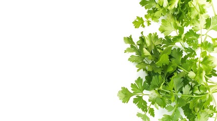 Obraz premium Fresh green vegan vitamin parsley isolated on white background : Generative AI