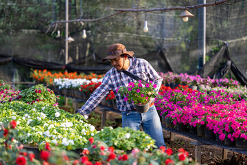 Young Asian gardener is choosing flowering plant from the local garden center nursery full of...