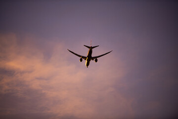 airplane in the sky