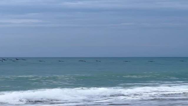 P&aacute;jaros negros volando por encima del mar azul con cielo celeste