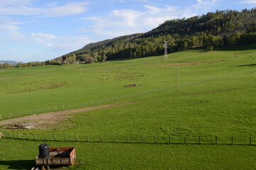 Rolling pastureland at Dunfallandy, Pitlochry, Perthshire, Scotland