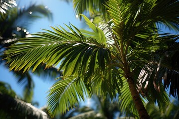 Botanical Garden Palmeiras of Leque leaves under blue sky., generative IA