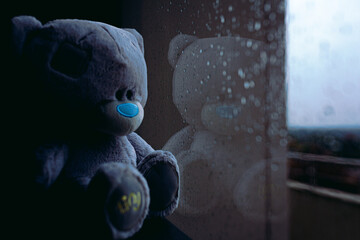 teddy bear by the window