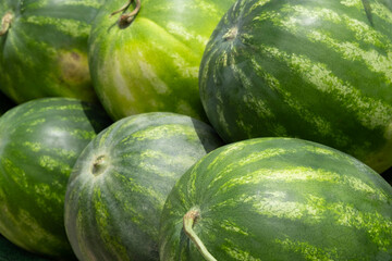 Delicious and fresh juicy watermelons at the market