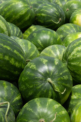 Delicious and fresh juicy watermelons at the market