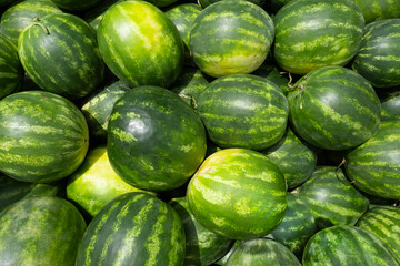 Delicious and fresh juicy watermelons at the market