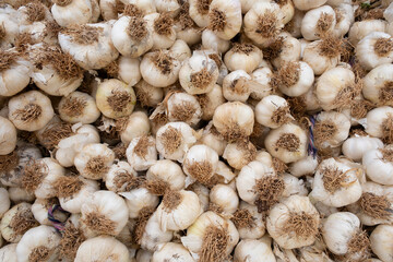 Delicious and fresh garlic cloves