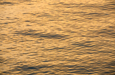 waves of the Mediterranean sea of ​​golden color at sunset 1