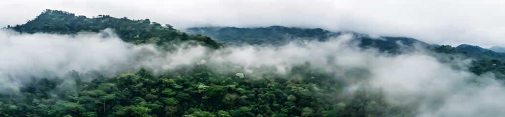 A misty and foggy landscape in the jungle, with cloud-covered mountains and lush green valleys. Perfect for travel and nature exploration.