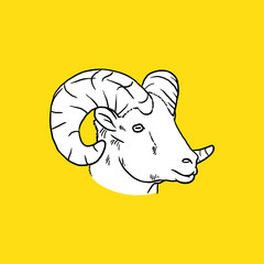 Vintage Sheep Head. Sketch, Drawing Style. Vector
