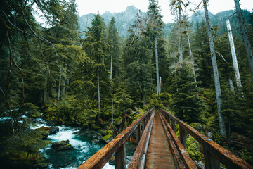 Authentic wooden bridge over the river on Trout Lake Trail in Washington State, USA