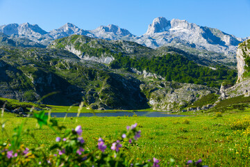 Serene landscape with one of Lakes of Covadonga and mountain range in summer day