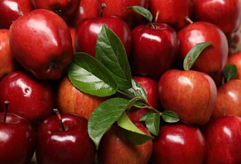 Fresh ripe red apples with leaves as background, closeup