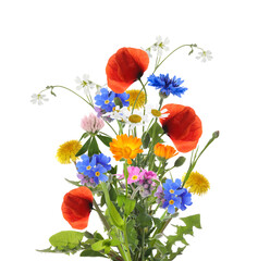 Bouquet of beautiful meadow flowers isolated on white