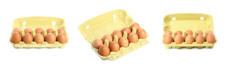 Brown chicken eggs in egg carton isolated on white, set
