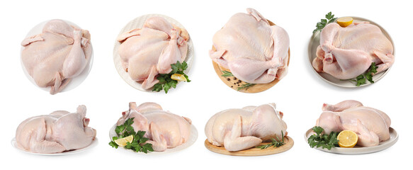 Whole raw chicken isolated on white, set