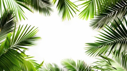 A composition of tropical palm leaves forming a border around the edges, providing an open space in the center for text or images, isolated on a clean white transparent background