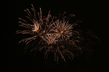 Obraz premium fireworks in the night sky