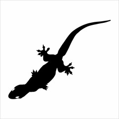 Silhouette of a lizard