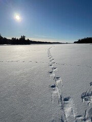 footprints in the snow