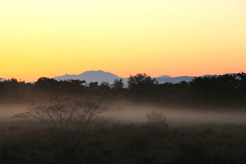 朝霧流れる夜明けの風景