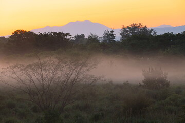 朝霧流れる朝焼け風景