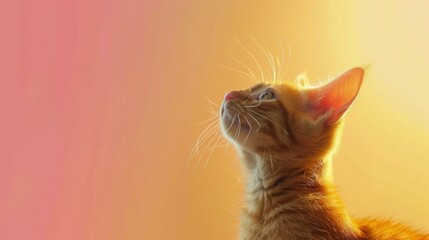 National Adopt a Cat Month: Heartwarming Minimalist Poster with a Cat on a Soft Pastel Background to Promote Adoption