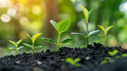 A corporate report highlighting ESG (Environmental, Social, Governance) metrics within the green energy sector, showcasing sustainable business practices in the renewable energy industry