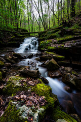 Obraz premium West Virginia 15