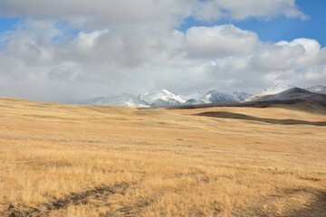 Hilly steppe with high dried grass against the backdrop of high snow-capped mountains on a sunny autumn day.