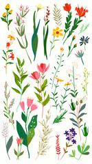 Collection of colorful floral elements in flat color. Set of spring and summer wild flowers, plants, branches, leaves and herb.