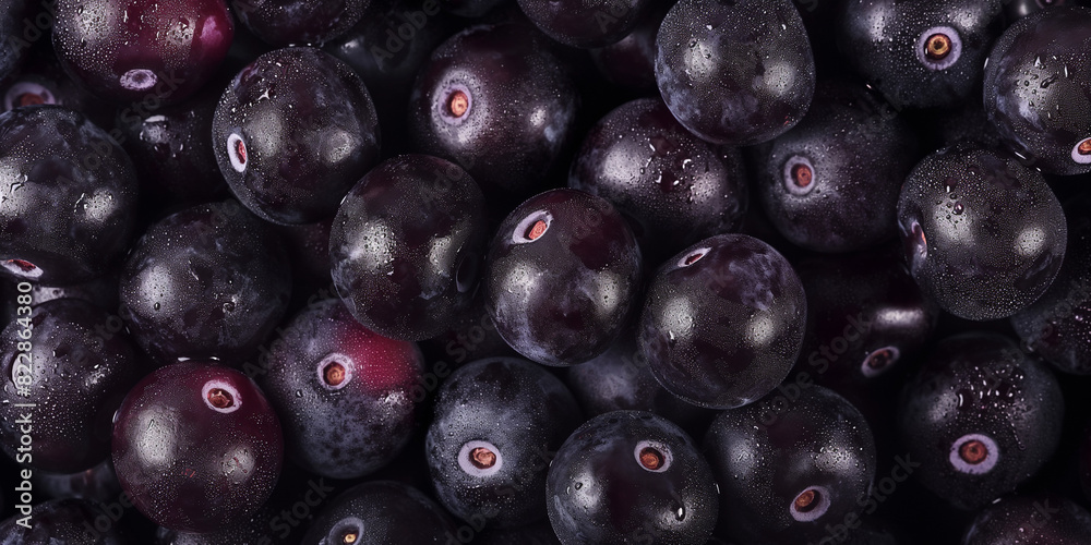 Wall mural close-up image of fresh black blueberries, a closeup of the acai berries texture, showcasing their s