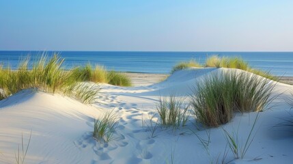The salty scent of the ocean mingling with the fresh earthy fragrance of the nearby sand dunes.