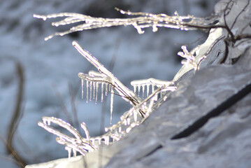 冬の山間部で凍ってできた氷柱