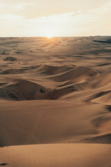 desert of the Peruvian coast, the driest in the world