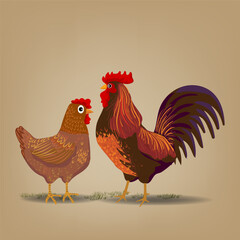 Set of chicken, rooster, hen, poultry farm animal set collection hand drawn vector illustration. Livestock pet domestic animal.