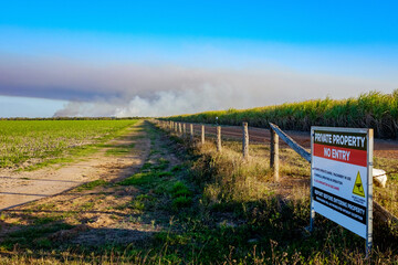 sugar cane field near bundaberg, queensland