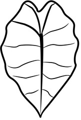 tropical botanical leaves