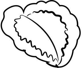 tropical botanical leaves