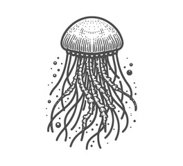 jellyfish vintage hand drawn vector