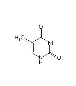 Thymine nucleic acid, nitrogenous base, nitrogen and hydrogen formula. Nitrogen and hydrogen medicine molecule, DNA nitrogenous base molecular structure or nucleic acid biology vector formula
